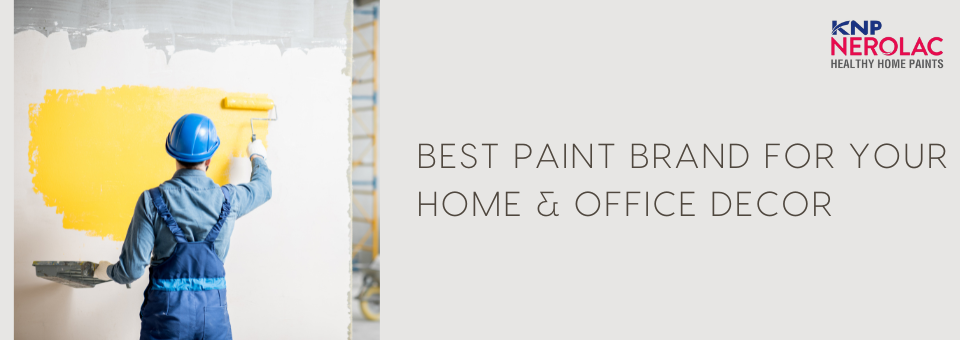 Best Paint Brand for Your Home & Office Decor